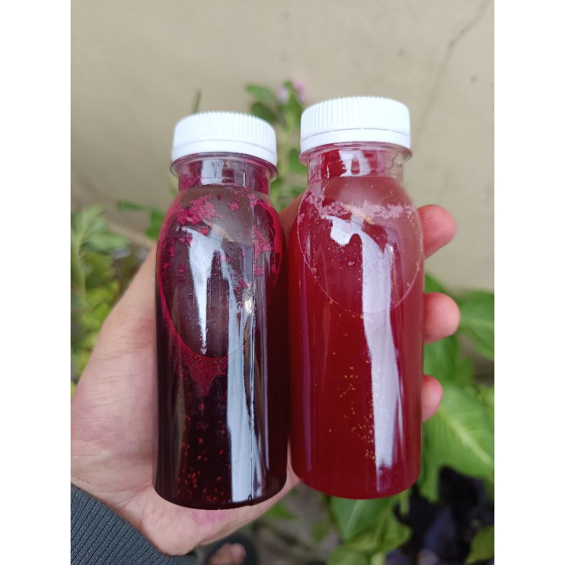

PRESS FRUIT GINGER SHOT 50ml&100ml