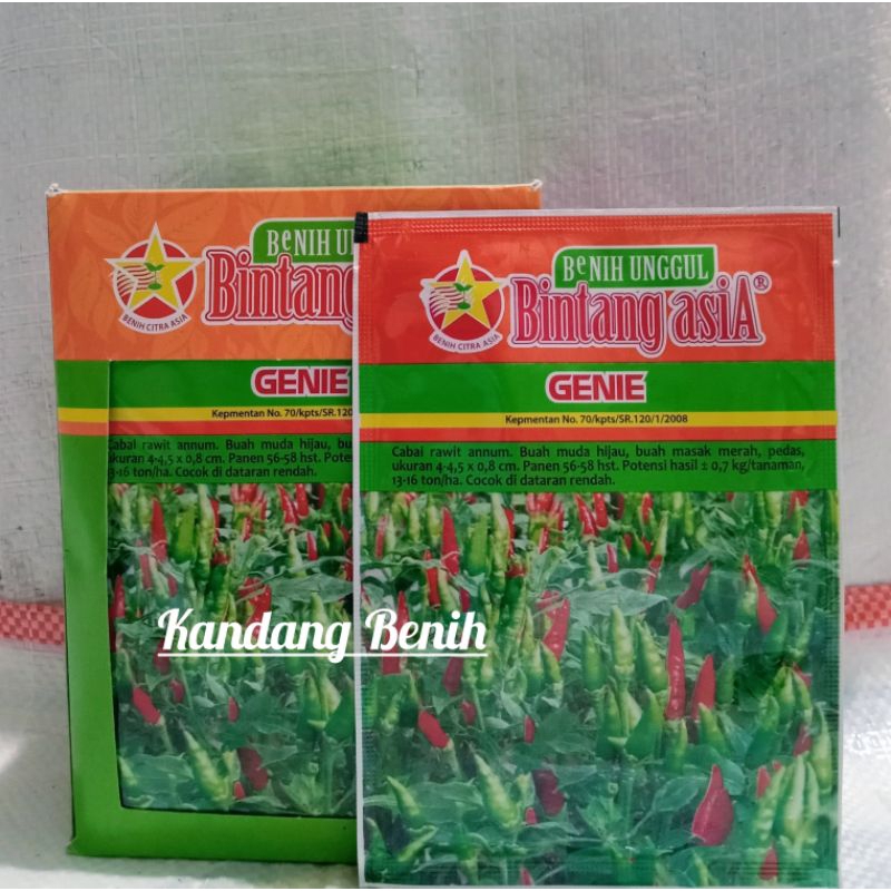 Benih Cabe Rawit Hijau Genie 10 Gram