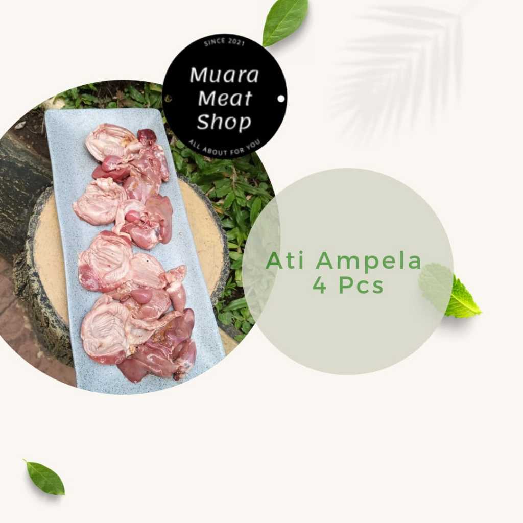 

Ati Ampela Ayam 4Pcs Termurah Bandung