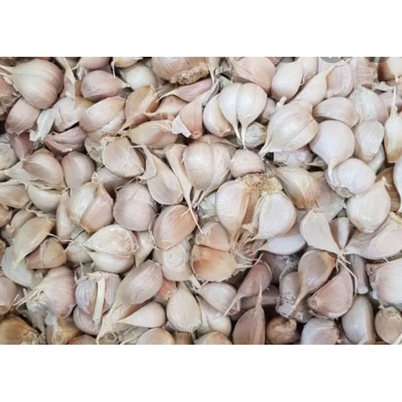 

Bawang Putih Kating 1 KG