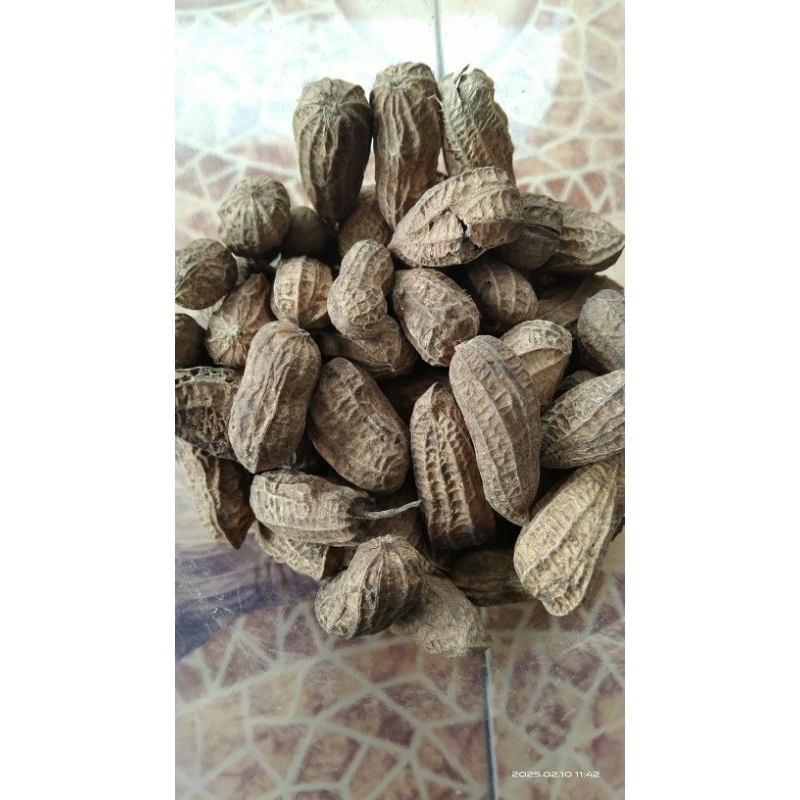 

KACANG KULIT GORENG KACANG GORENG KACANG KULIT GORENG 1KG
