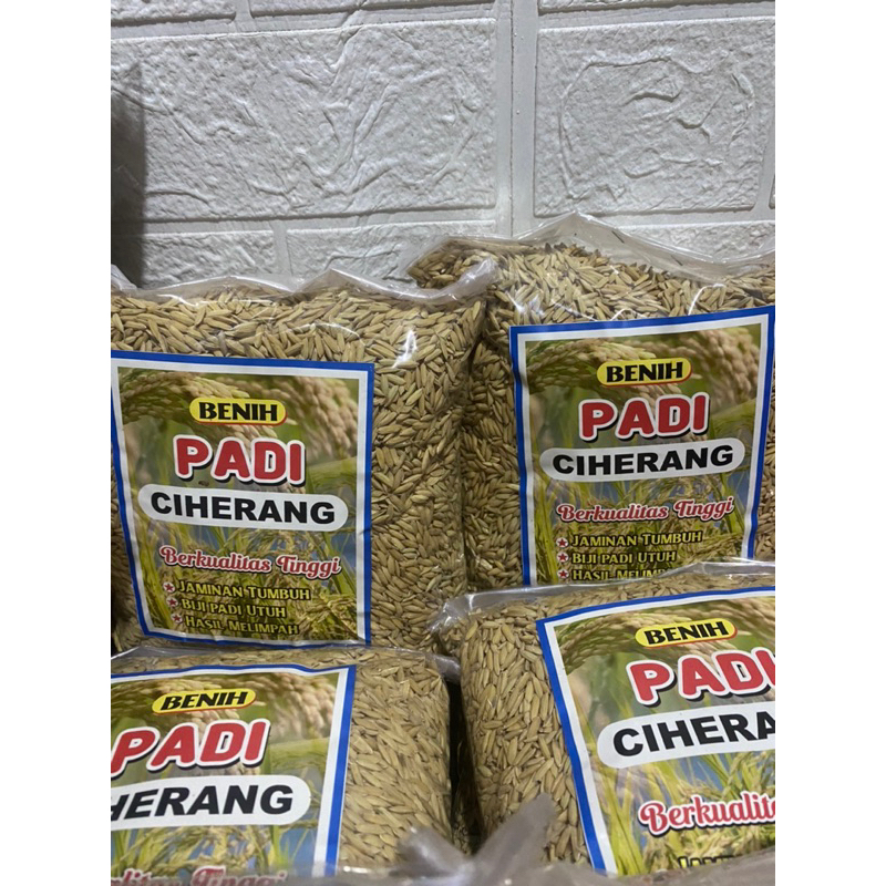 Teh_Teh Maniez  Benih Padi Ciherang Bima Sakti Unggul 1Kg