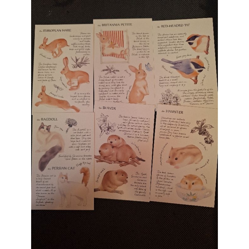 

5 kartu pos ilustrasi hewan/animal illustration postcard