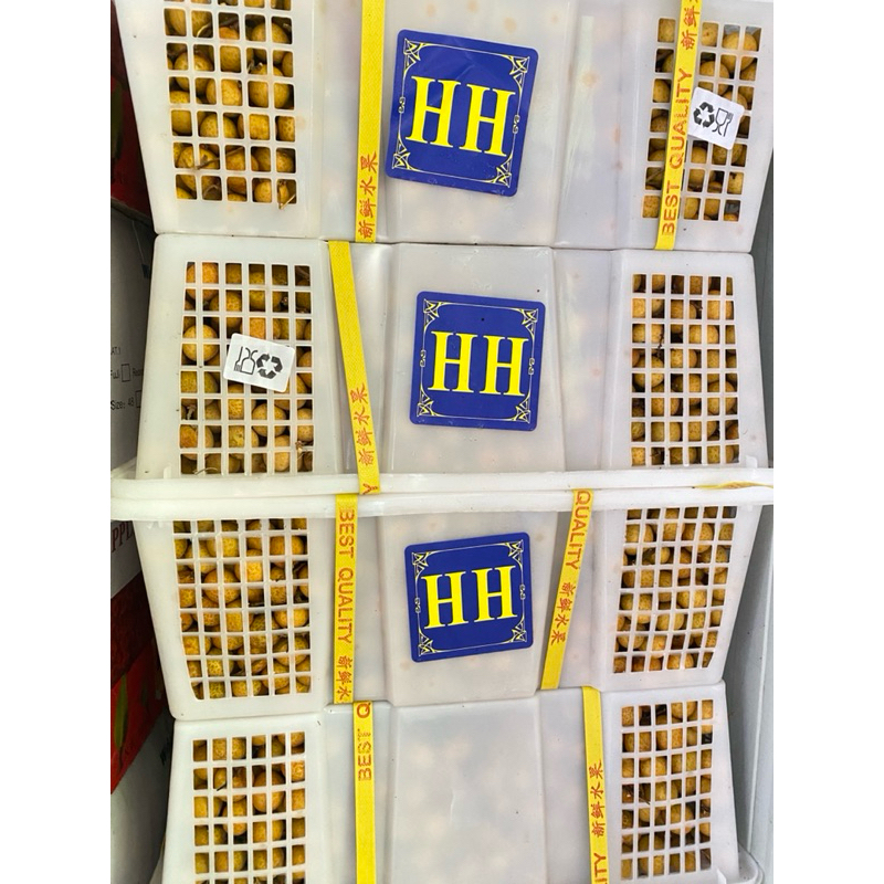 

LENGKENG BIRU DIKIRIM SESUAI STOCK