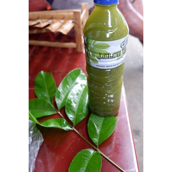 

LOLOH CEMCEM BOTOL BIASA SATUAN