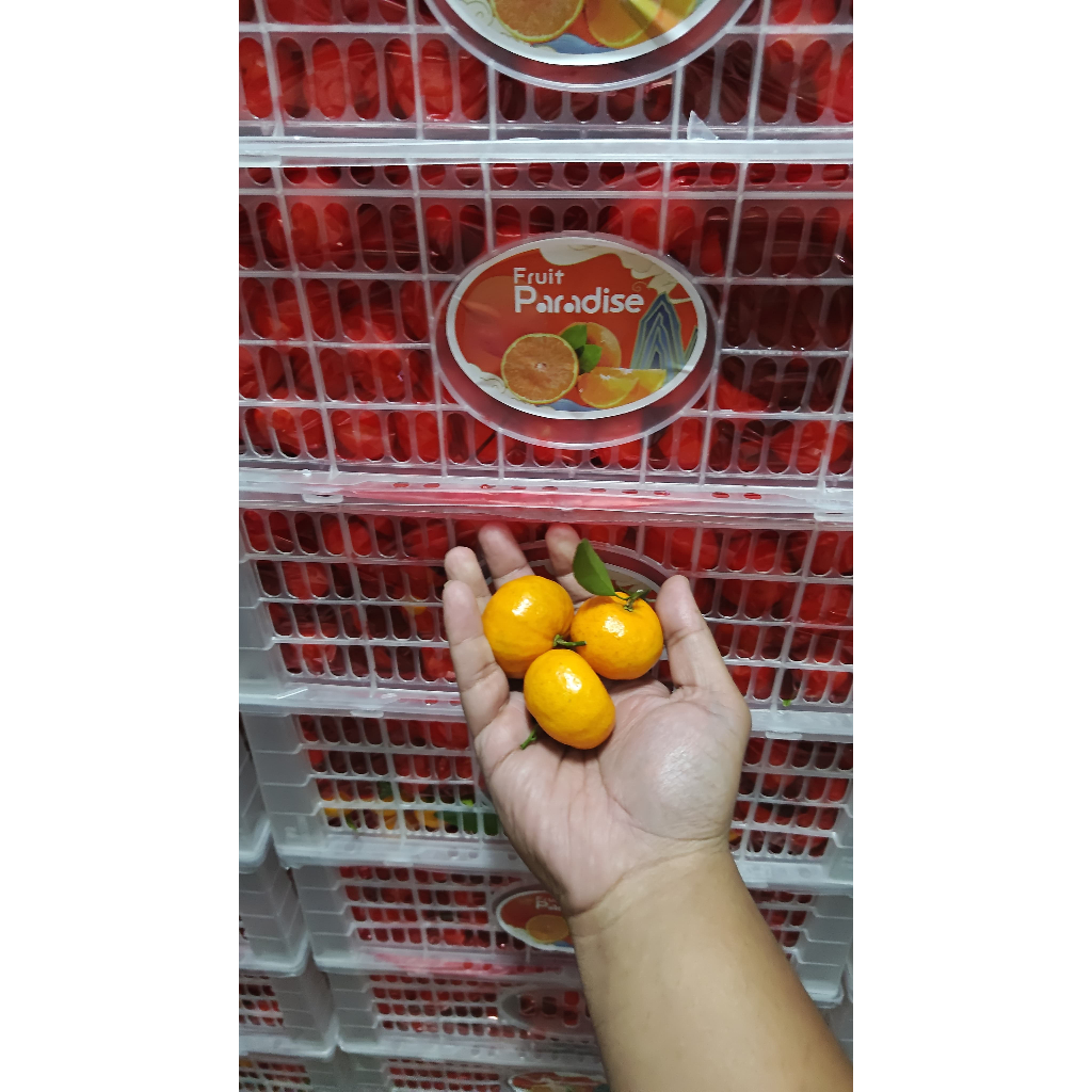 

Jeruk Santang Matsui / 6KG (KHUSUS INSTANT)