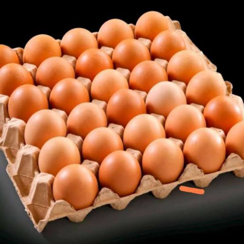

Telur Ayam Negri 1 rak isi 30 biji