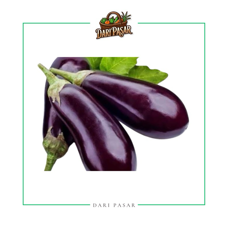 

Terong Ungu Fresh 500gr dan 1000gr