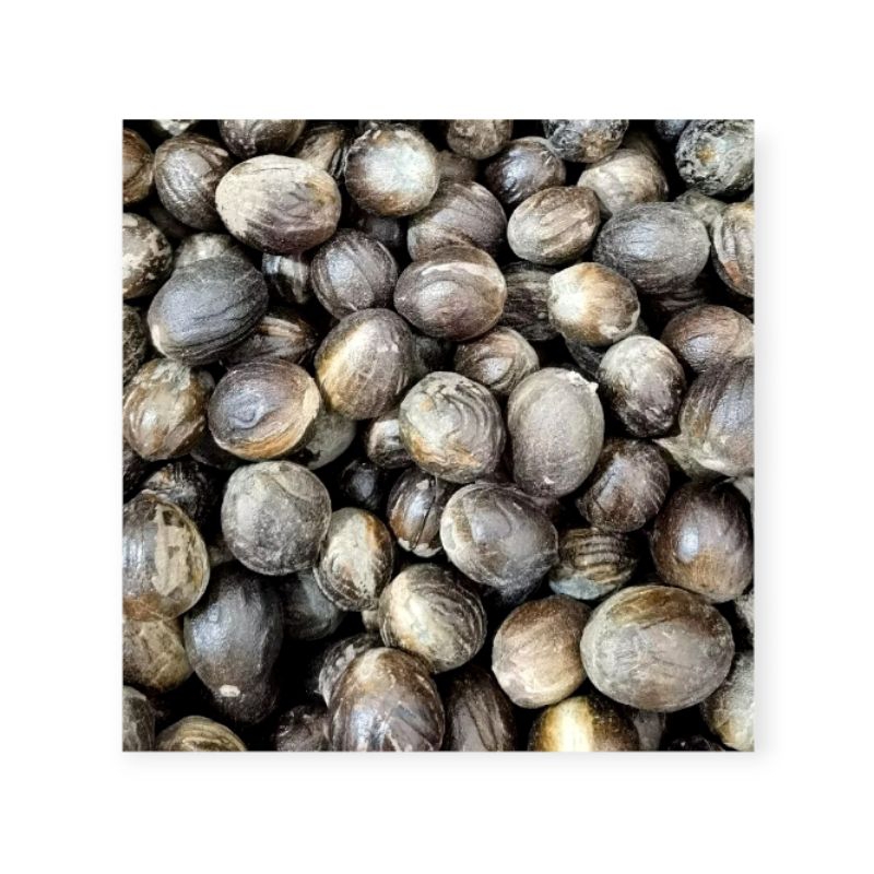 

Buah Pala kering 1kg