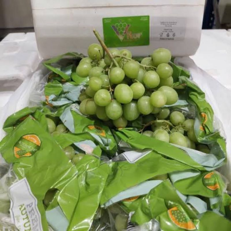 Anggur Autumn Crisp hijau / 1 box / 8kg