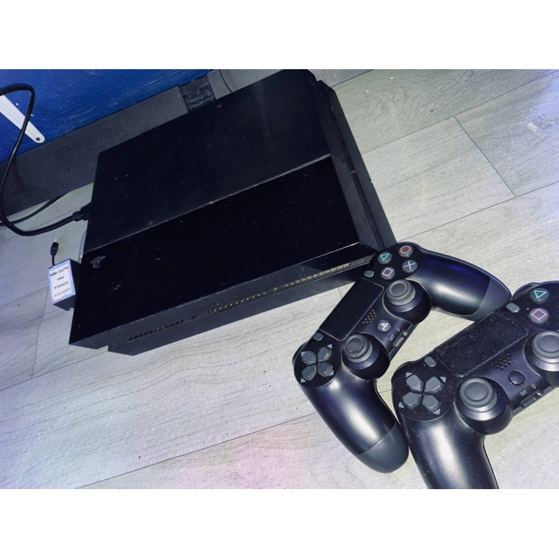 PS 4 FATT HEN