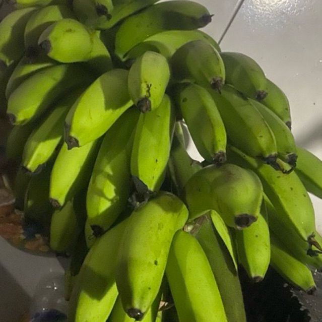 

Buah Pisang Matah JE R Ecih 10 Pcs Buah Pisang