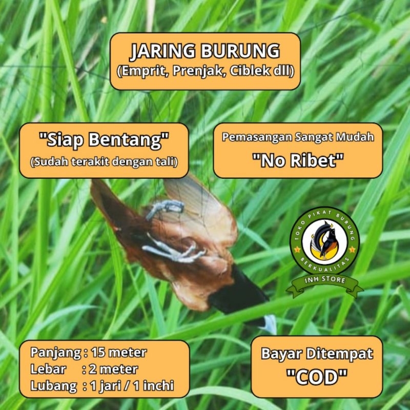 JARING BURUNG EMPRIT HAJI JARING BURUNG KECIL JARING BURUNG SAWAH JARING BURUNG PIPIT PEKING MURAH J