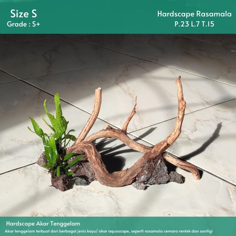 HARDSCAPE AKAR TENGGELAM KECIL S SATU SET |Hiasan Akuarium/Aquascape/Aquatic
