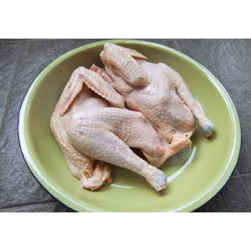 

Ayam kampung potong segar