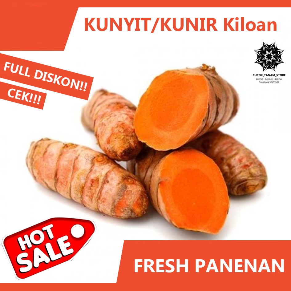 

KUNYIT/KUNIR FRESH Panenan/1 kg