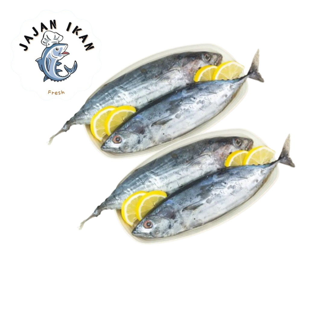 

Ikan Cakalang [JAJAN IKAN] Ikan Cakalang Segar Beku 1kg