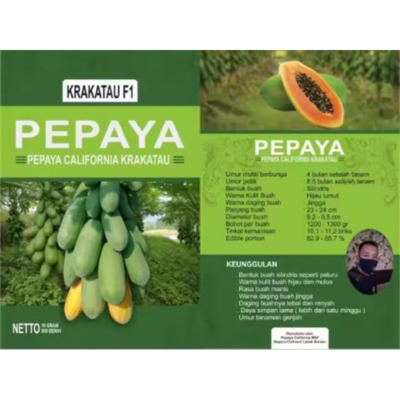 Bibit Pepaya California Krakatau F1 10 Gram
