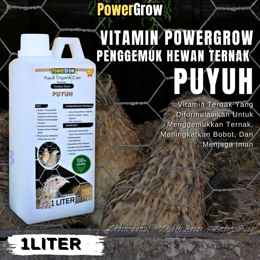 Vitamin Puyuh Cepat Besar Vitamin Puyuh Cepat Bertelur Vitamin Penggemuk Puyuh Peningkat Nafsu Makan