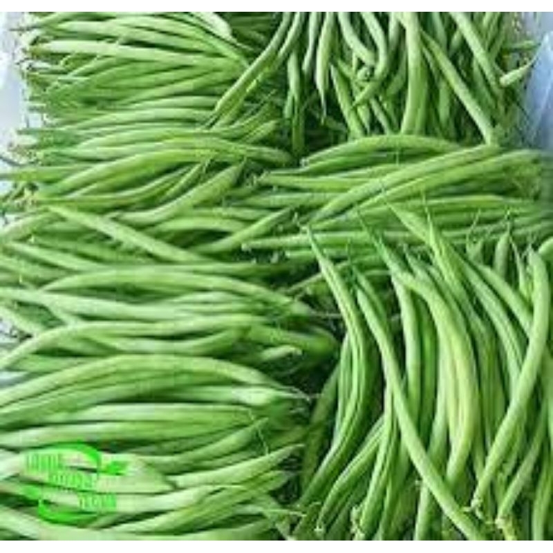 

sayur kacang panjang 250 gram / 500 gram
