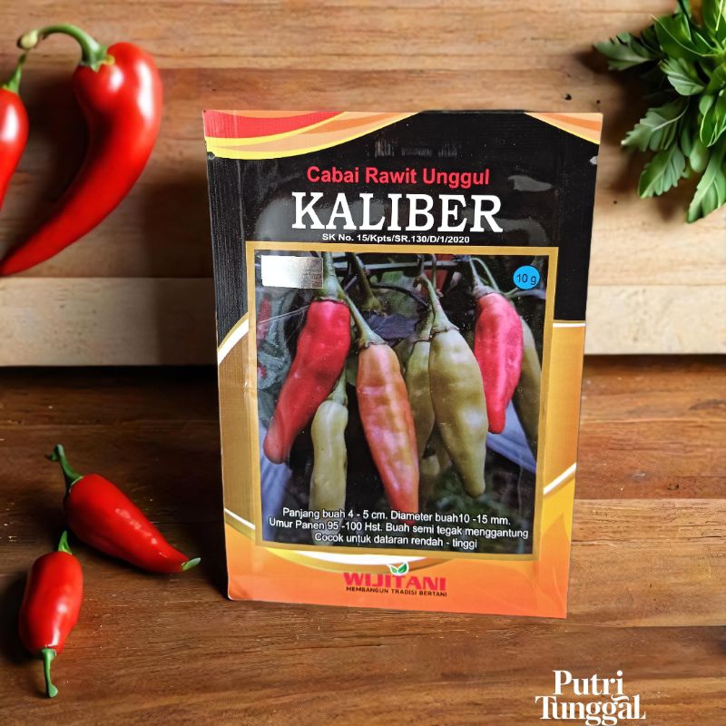 Kaliber benih cabe rawit berkualitas
