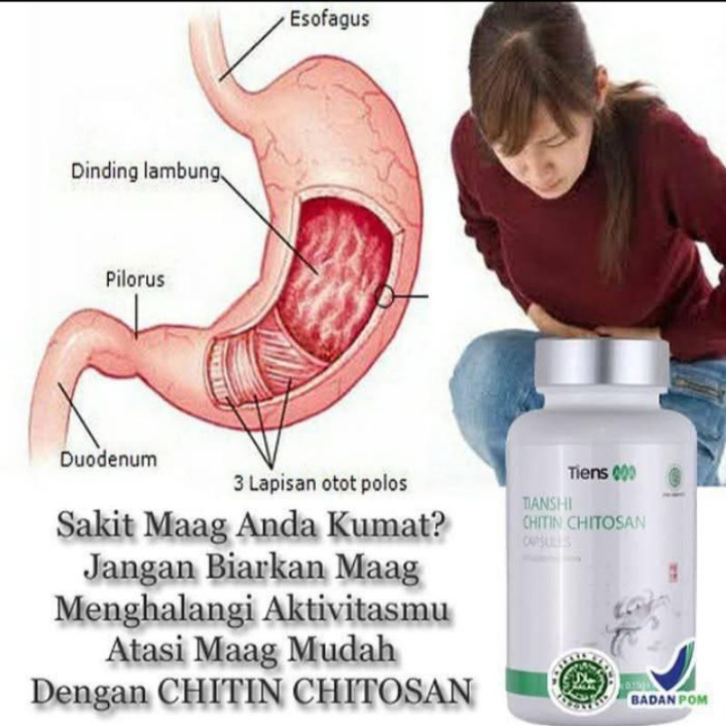 TIENS CHITIN CHITOSAN ( isi 100 kapsul ) ORI SEGEL
