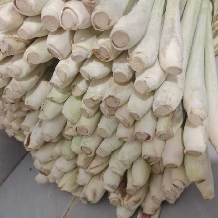 

SERAI batangan bersih buang daun dan akar