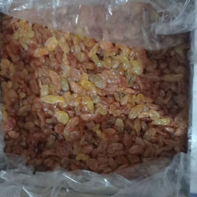 

Kismis golden raisin asam manis 1kg fresh