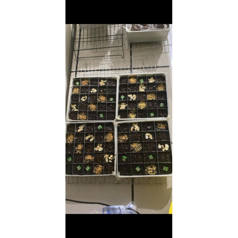 

pre order brownies (booked)