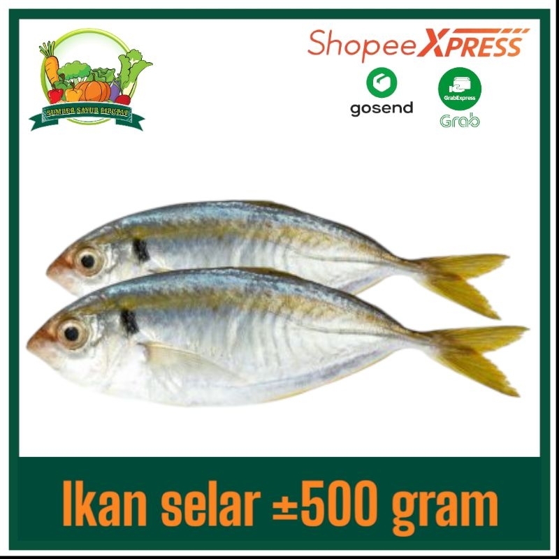 

Ikan selar fresh ±500 gram