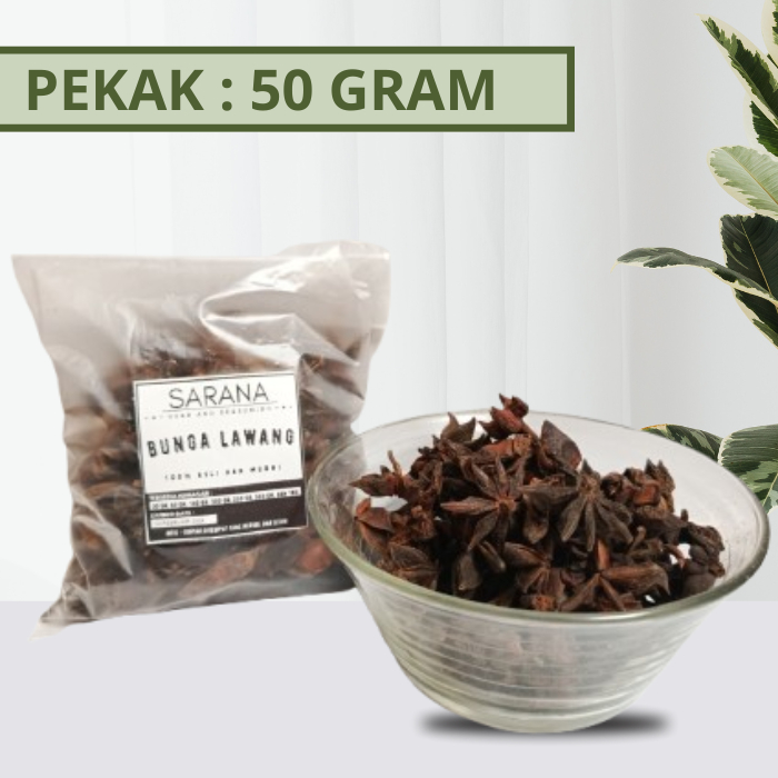

Pekak Utuh 50 Gram / Bunga Lawang / Star Anise / Rempah Murah