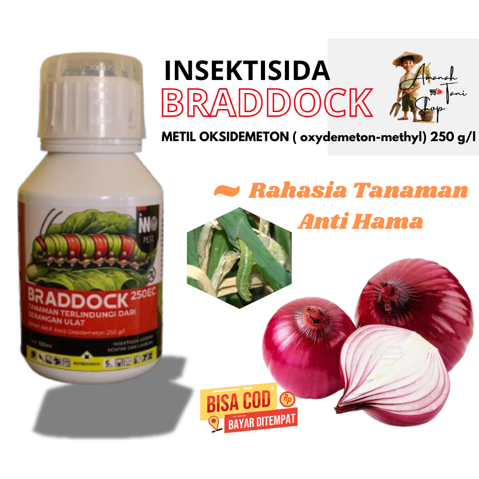 Insektisida Braddock Mengatasi Ulat Grayak Pada Padi Jagung Bawang Merah