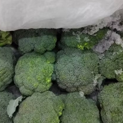 

brokoli impor 1 bok 7 kg