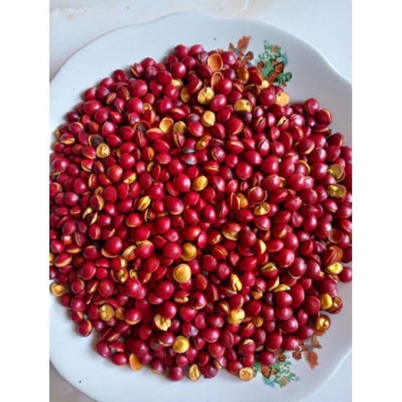 

Saga Rambat/Sogo Telik siap makan