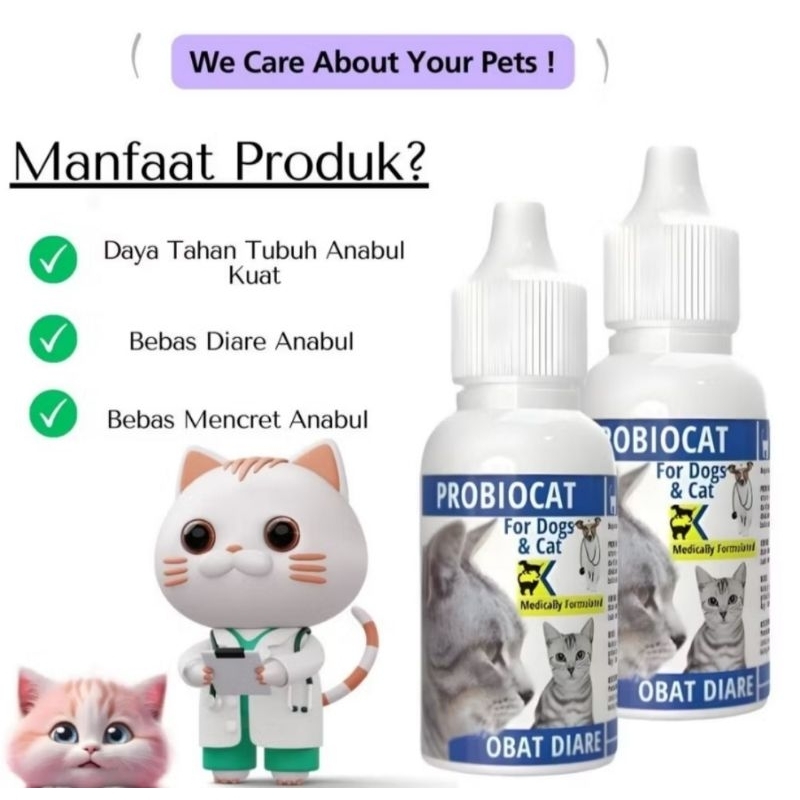 Obat Diare Kucing Obat Berak Darah Kucing PROBIOCAT