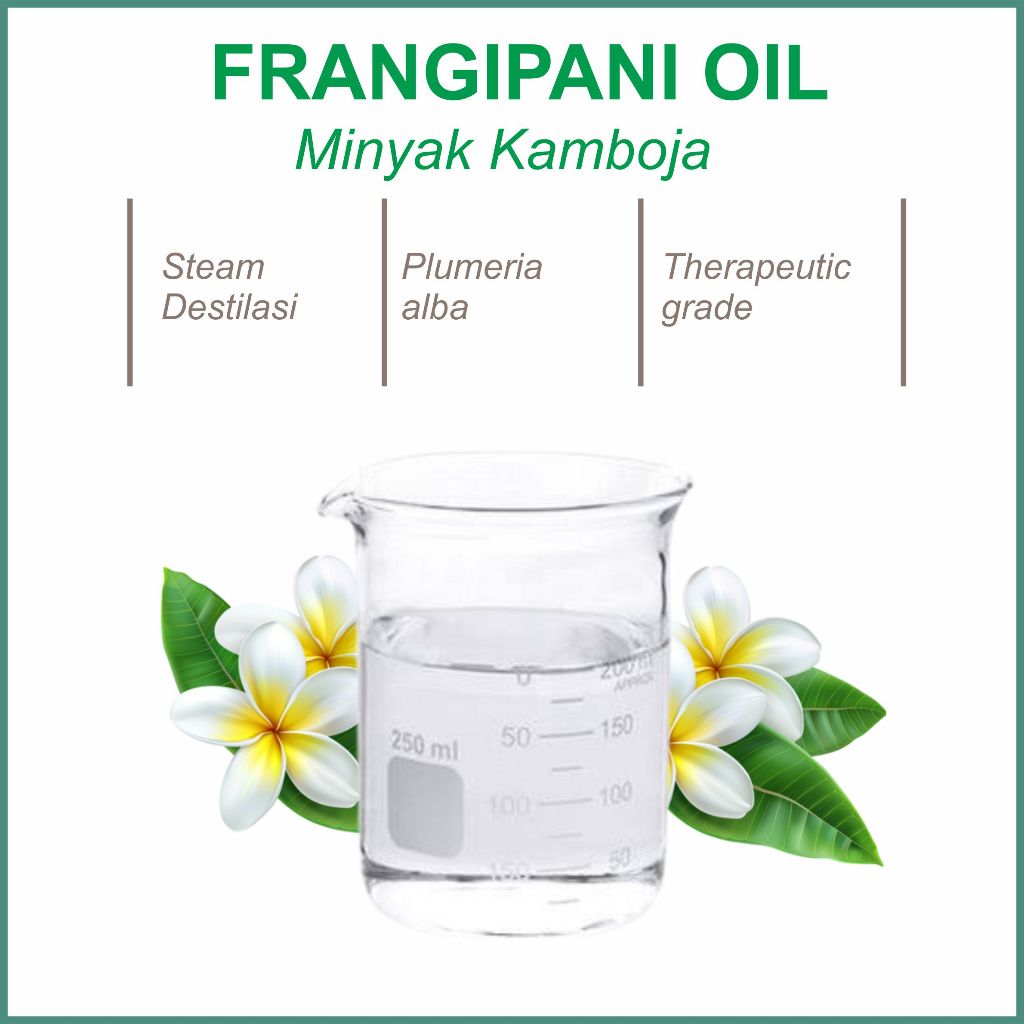 Minyak kamboja murni frangipani oil essential esensial 10ml 30ml 50ml 100ml atsiri organic organik