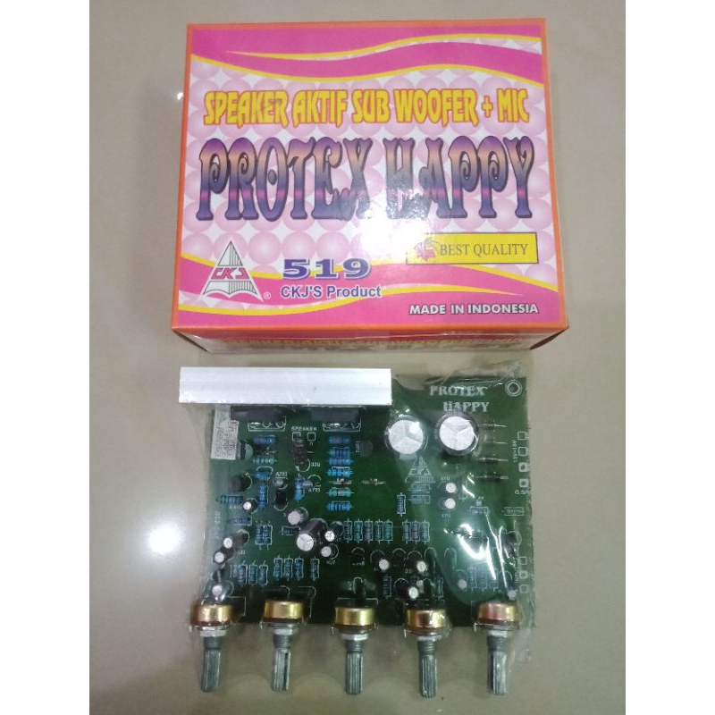 Kit PROTEX HAPPY Speaker Aktif Subwoofer+Mic CKJ 519