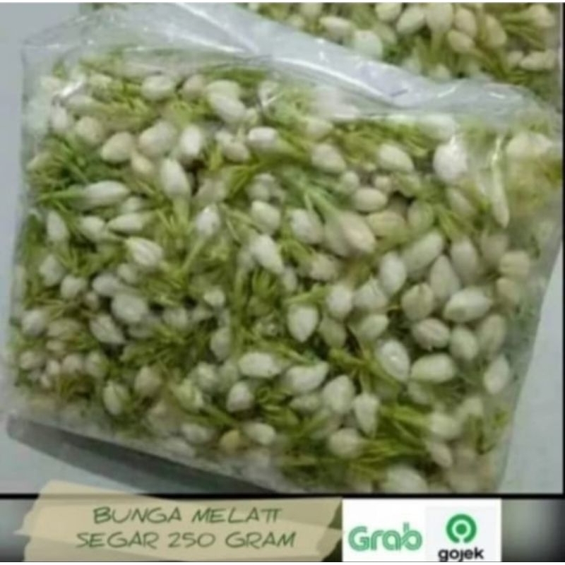 Melati Fresh Segar / Bunga tabur melati