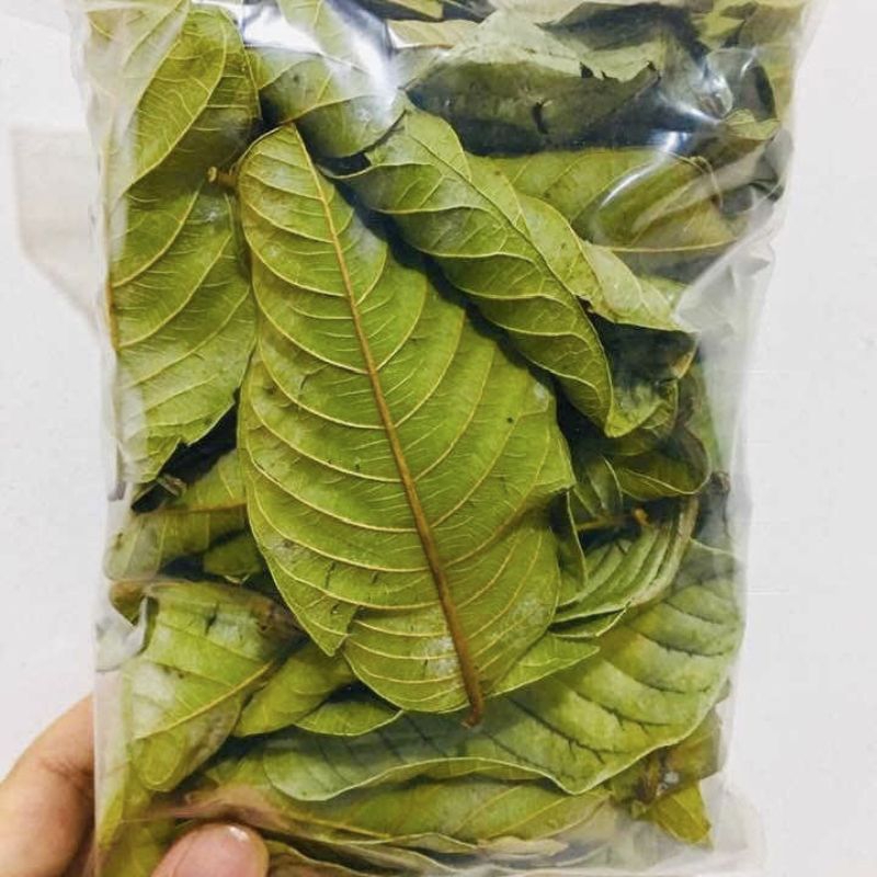 

Daun jambu biji kering fresh herbal 50 Lembar (Geratis 10 Lembar)