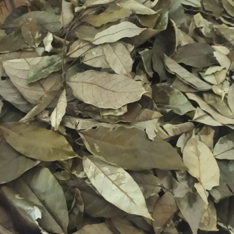 

Fresh Daun Pala Kering 100gr