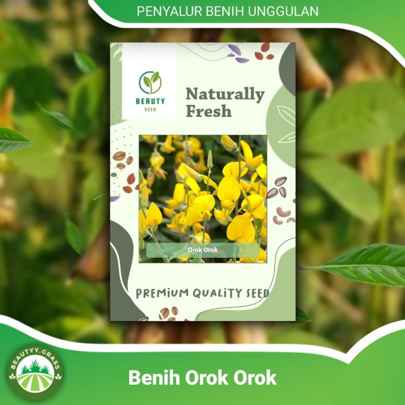 10 Butir Biji Benih Orok Orok - Bibit Orok Orok CROTALARIA JUNCEA Pengahsil Biomassa
