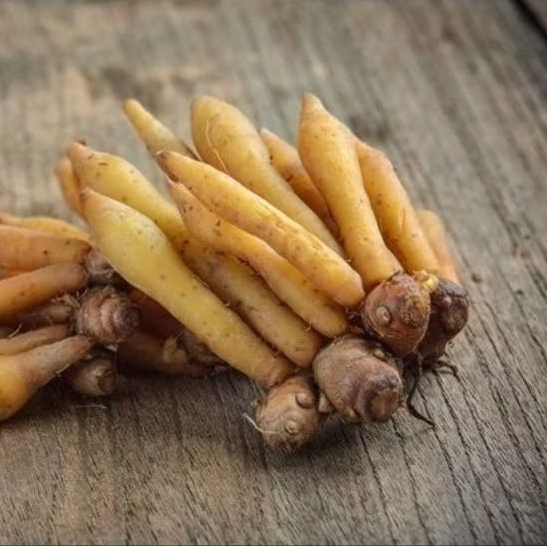 

Rempah Temu kunci 500gr - Surabaya