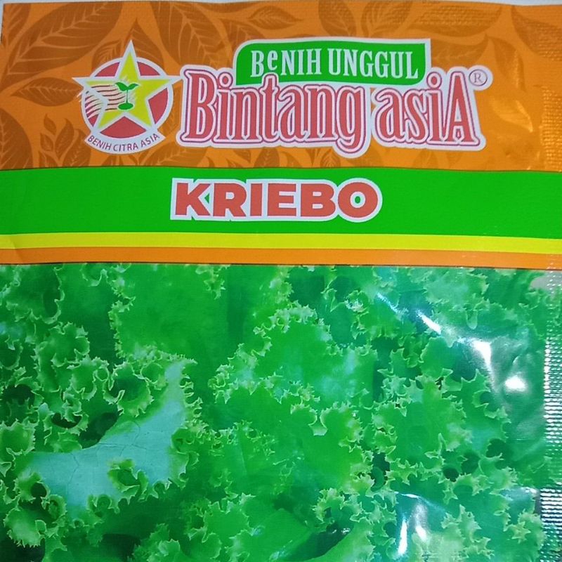 

Benih Salada Per Pack