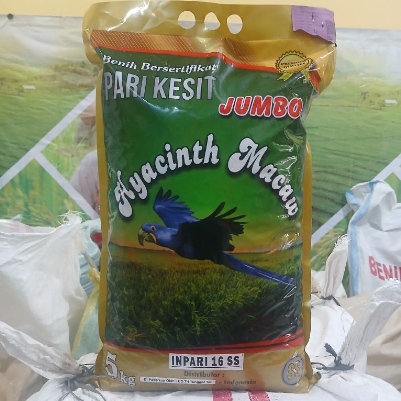 Benih Padi INPARI 16 Premium Jumbo 5 Kg Tahan Wereng Tungro Tahan Kekeringan