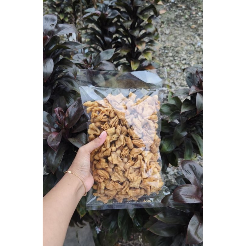 

Cumi-cumi Novi Ceria