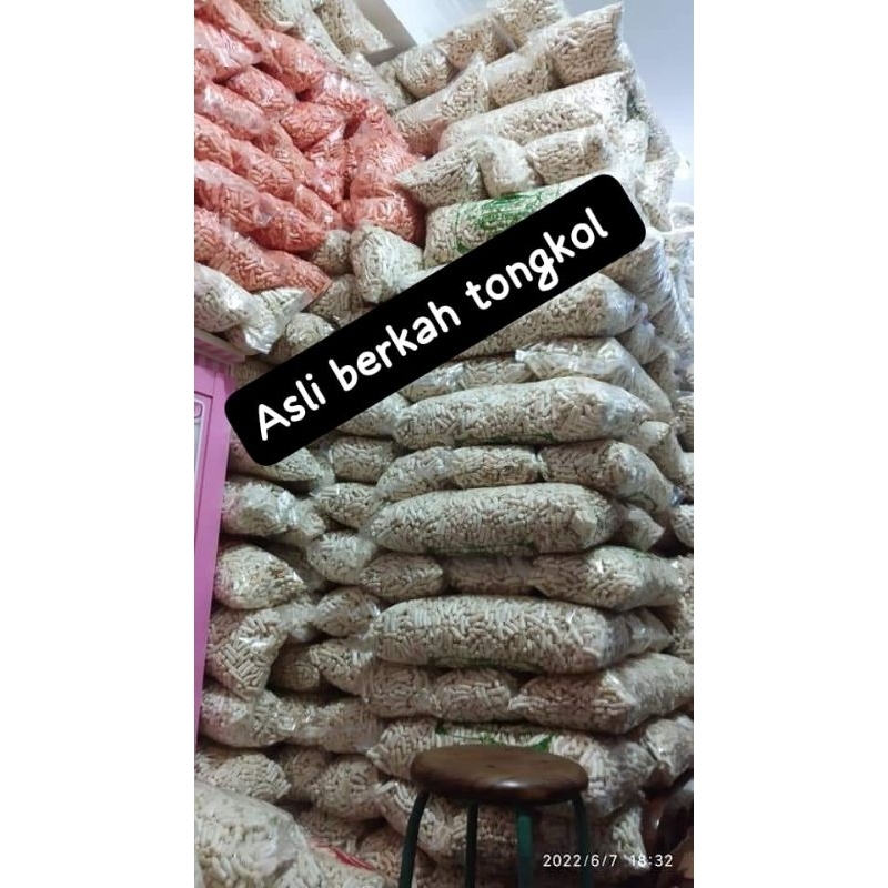 

ready berkah tongkol ORI UK besar