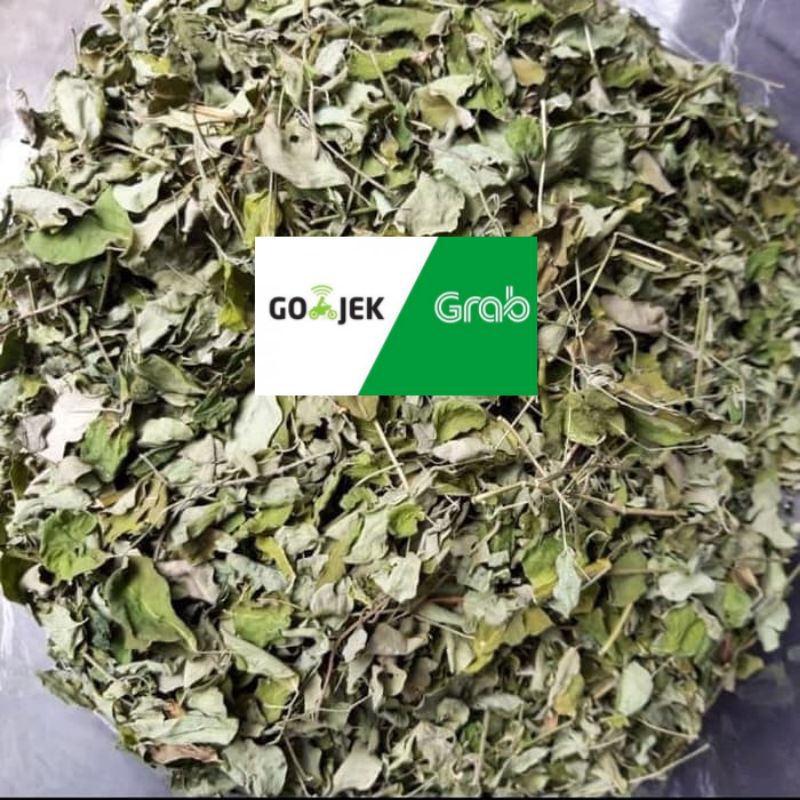 

daun kelor kering berkualitas