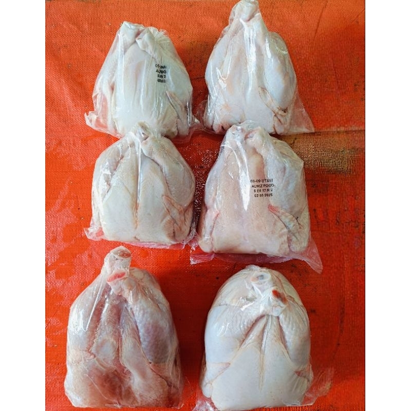 

Ayam Khusus Customer