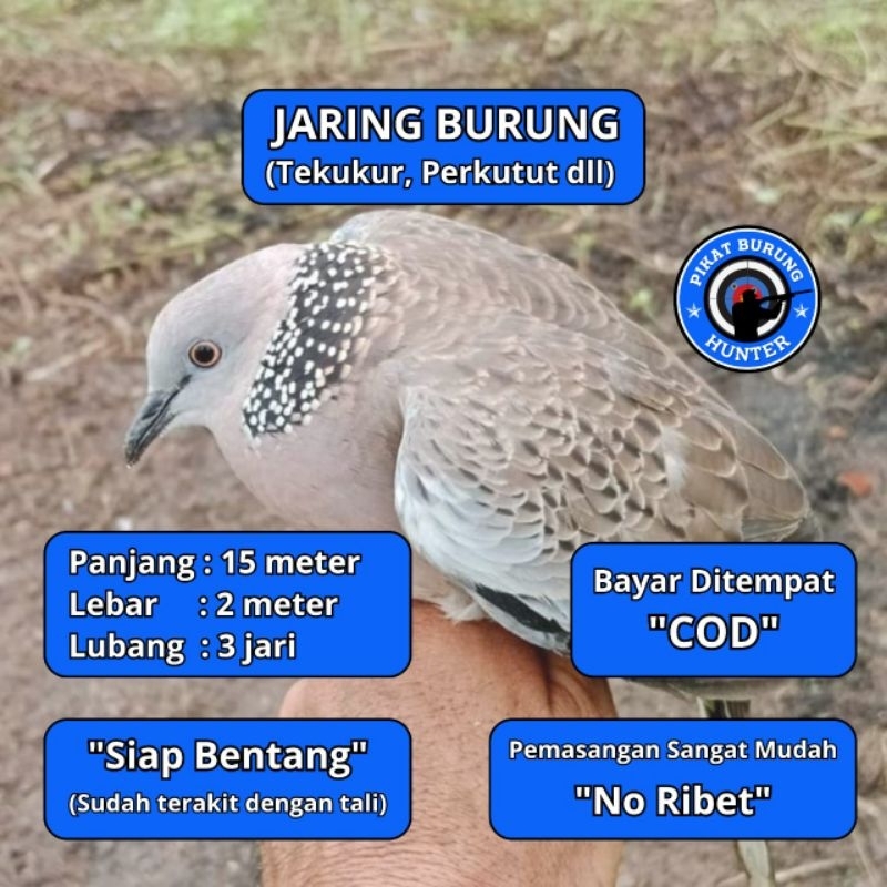 JARING BURUNG TEKUKUR JALA JARING BURUNG TEKUKUR JARING JALA PIKAT SEMUA BURUNG BESAR PROMO JARING M