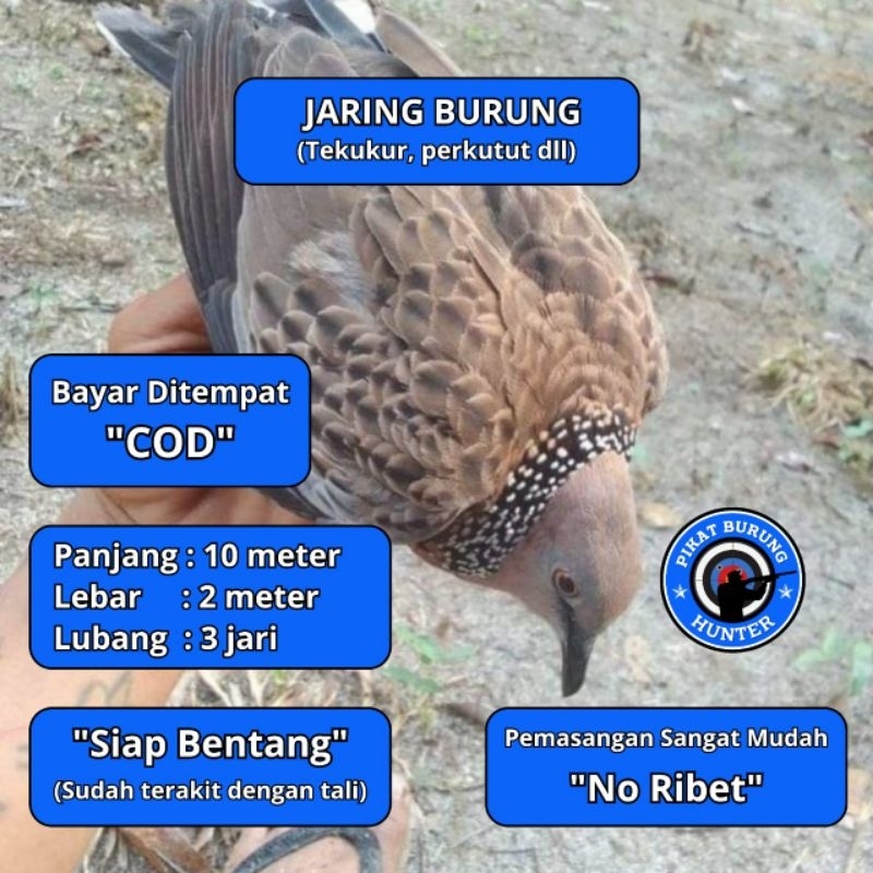 JARING BURUNG TEKUKUR JALA JARING BURUNG TEKUKUR JARING JALA PIKAT SEMUA BURUNG BESAR PROMO JARING M